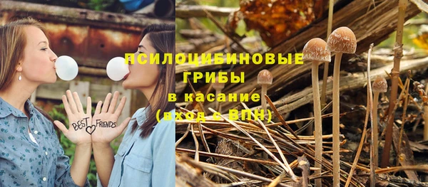 гашик Тутаев