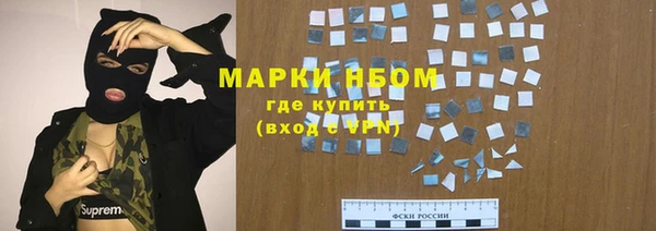 сатива Волоколамск
