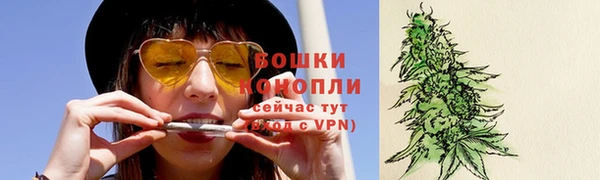 сатива Волоколамск