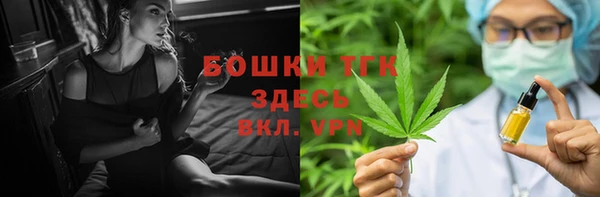 сатива Волоколамск