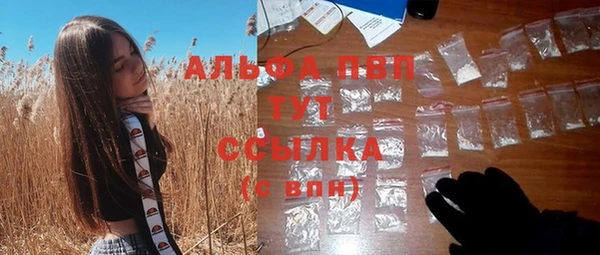сатива Волоколамск