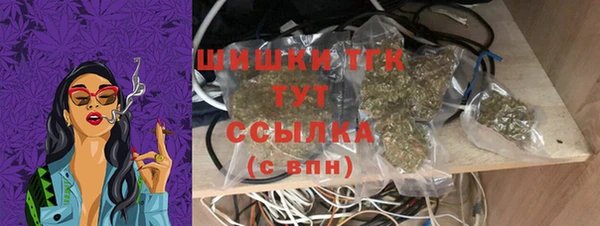 сатива Волоколамск