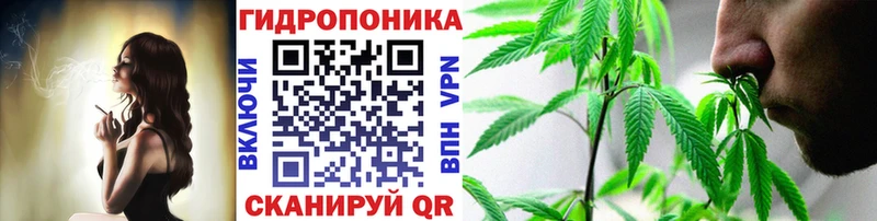 Канабис ГИДРОПОН  цена   Высоцк 