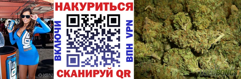 Канабис планчик Высоцк